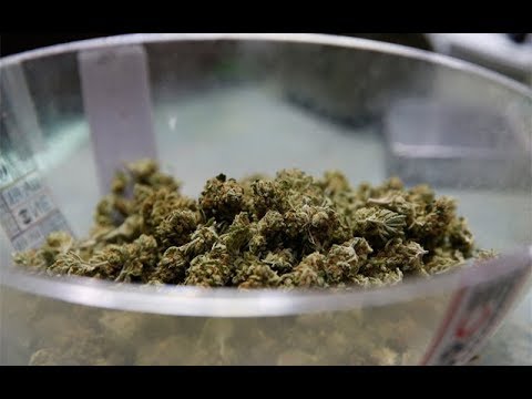 TokenBudz420's tweet photo. Cannabis News - Never Talk About Budtender Fight Club | Ep. 6 | 11-13-2017 - https://t.co/15FyPadluB #420 #hightimes #medicalmarijuana  #stoner #imhigh https://t.co/56VxnL5rtL