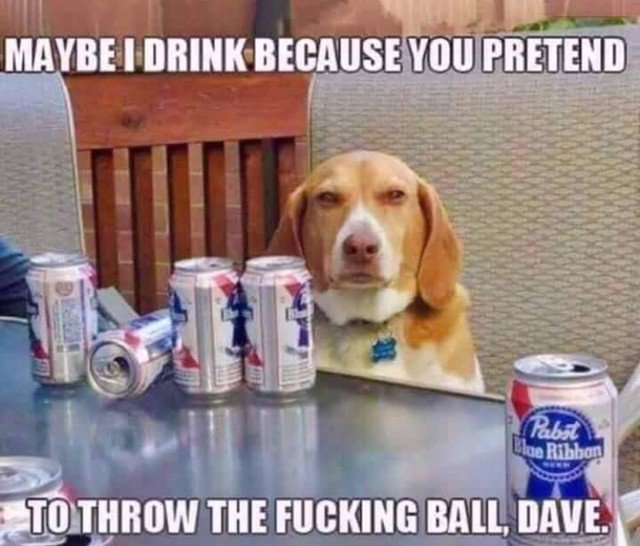 Talk To Me Like An Idiot tweet media