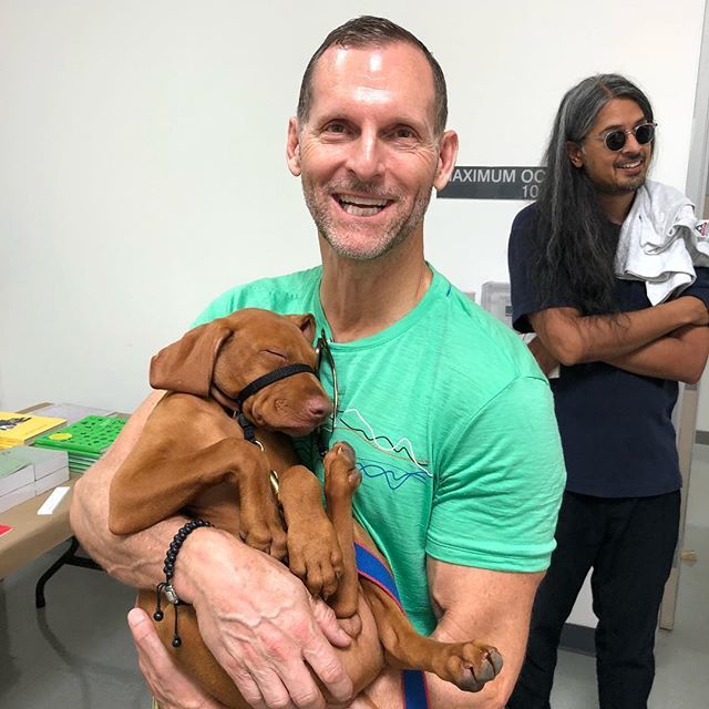 siborg81's tweet photo. Jordy fell into a #bookcoma @otismfabookfair with @hildey5 #jordythevizsla https://t.co/zkCimAgXHy https://t.co/zknOIaTZTA