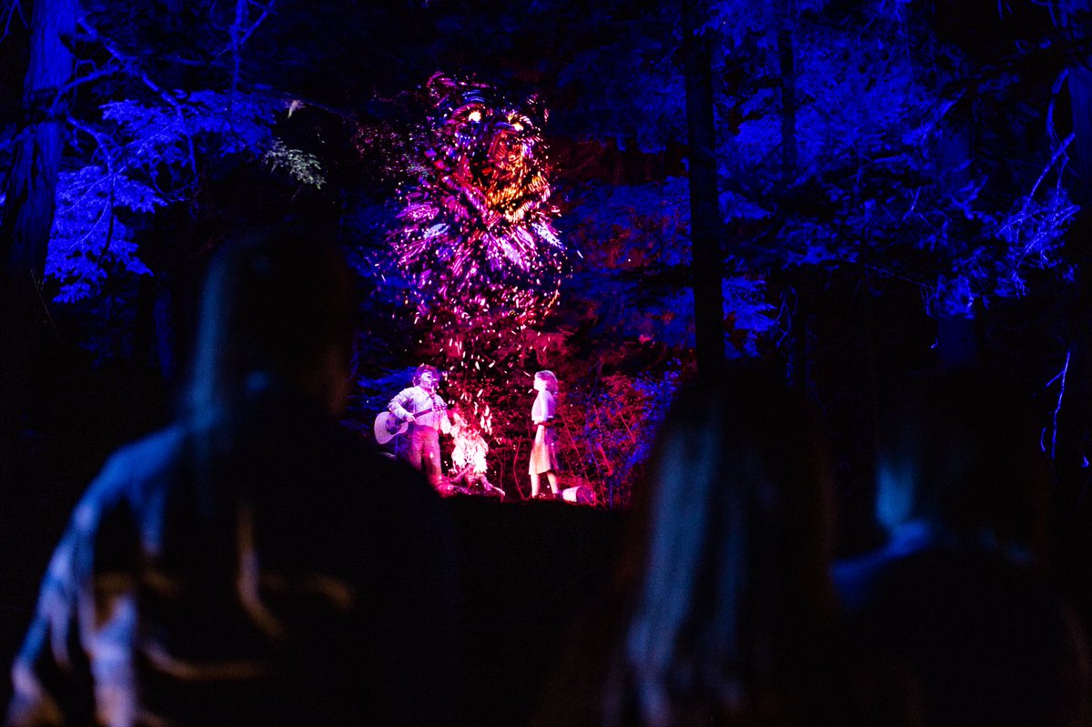 FairmontWhistlr's tweet photo. There’s an enchanted forest in #Whistler, where the trees &amp; trails come alive to sing you a story we’ve long forgotten. Tonight, take a walk to the otherworldly &amp; be reminded of the magic we all have inside of us #ValleaLumina 

📸: @ValleaLumina x @TagWhistler x @ momentfactory https://t.co/fojvwaMjwT