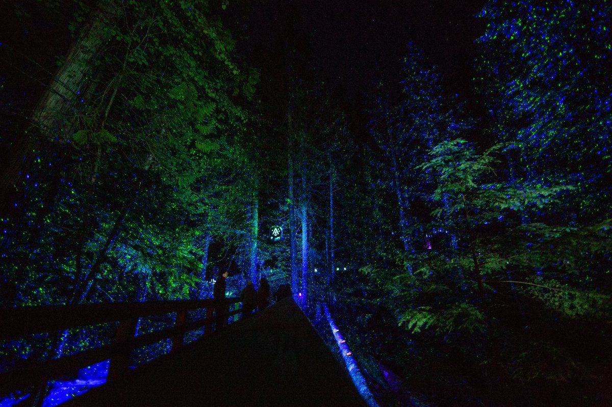FairmontWhistlr's tweet photo. There’s an enchanted forest in #Whistler, where the trees &amp; trails come alive to sing you a story we’ve long forgotten. Tonight, take a walk to the otherworldly &amp; be reminded of the magic we all have inside of us #ValleaLumina 

📸: @ValleaLumina x @TagWhistler x @ momentfactory https://t.co/fojvwaMjwT