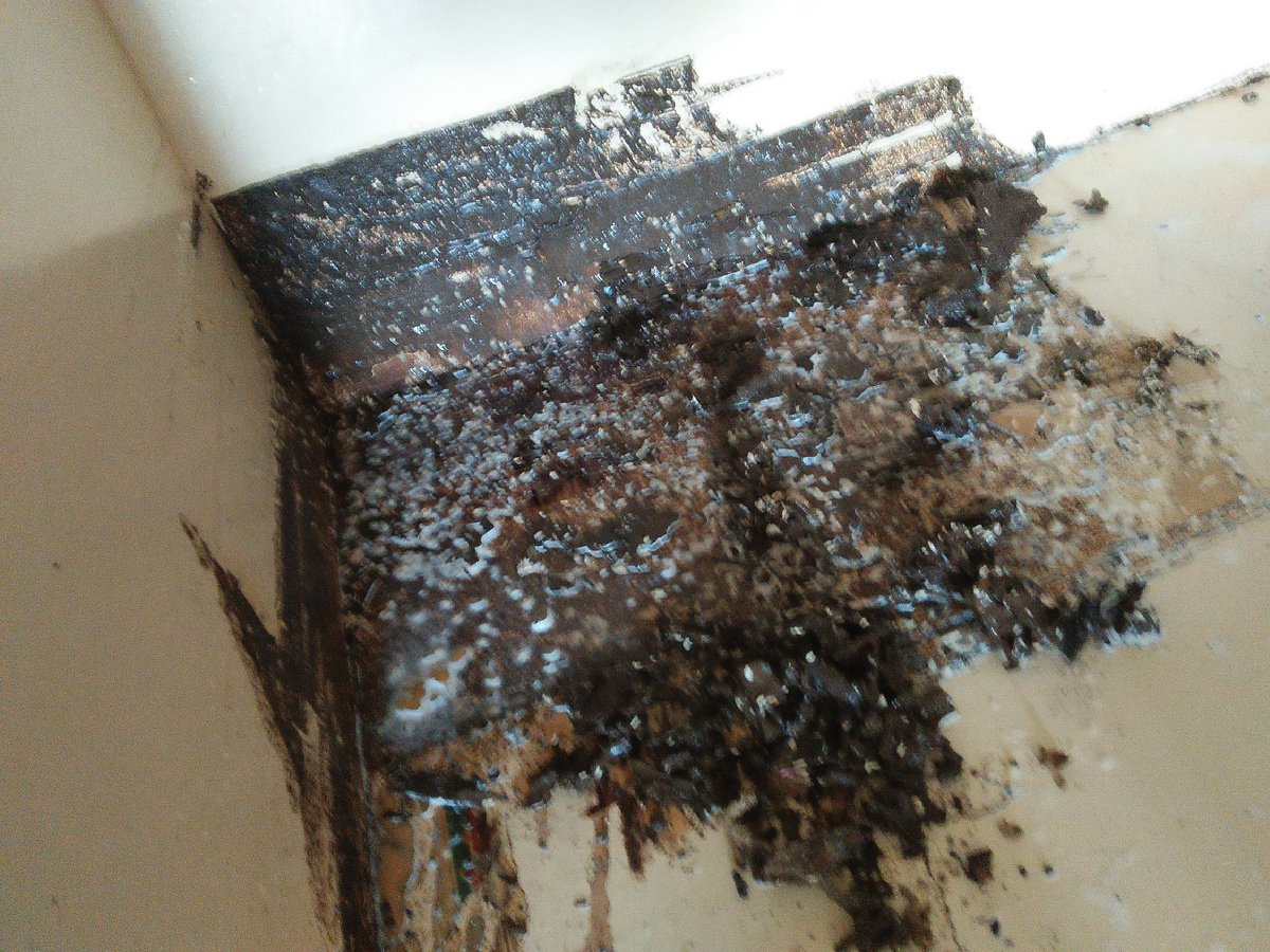 House very damage in termite plz immediately 🏡 house treatment in your house