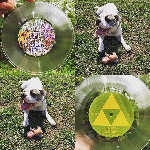 Steven Sime tweet media