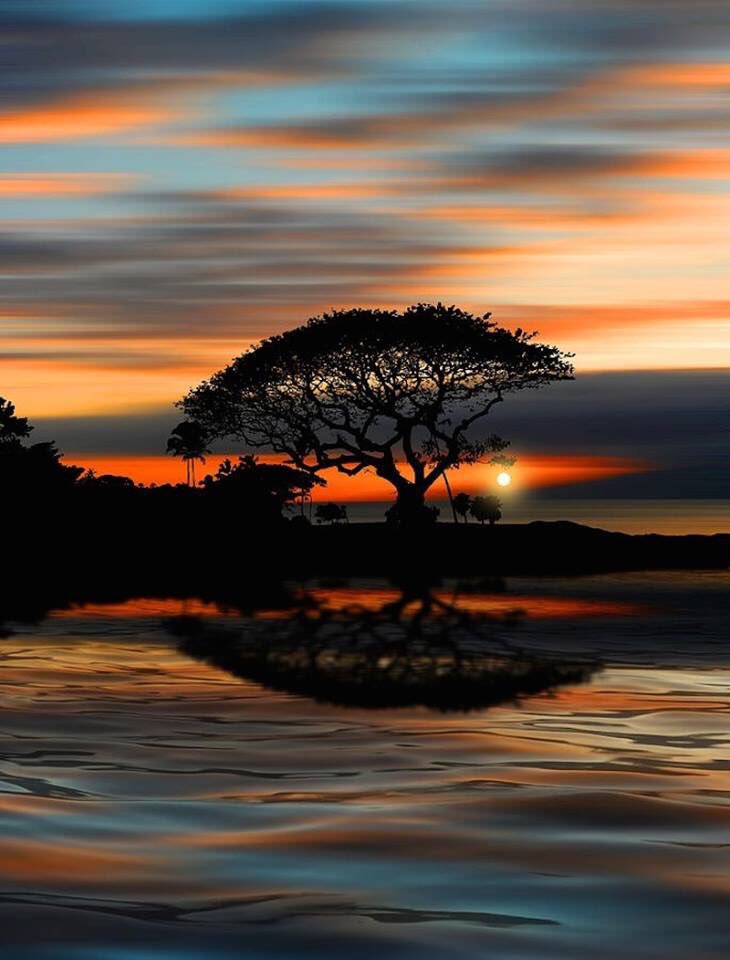 naturearises's tweet photo. Beautiful Sunset https://t.co/jZaQBKmG4q