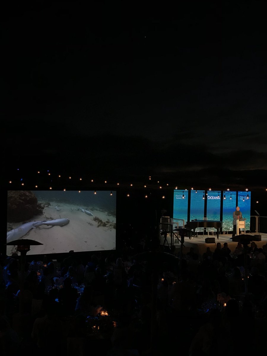 oceana's tweet photo. “It’s time to get scared FOR sharks, not scared of them.”
@Oceana_Andy is calling on YOU to #StandForSharks! Add your name now to tell your member of Congress to support a nationwide ban on the sale of shark fins. https://t.co/QLZ0WDKR4a #FinBanNow https://t.co/ZqheFOnkTB