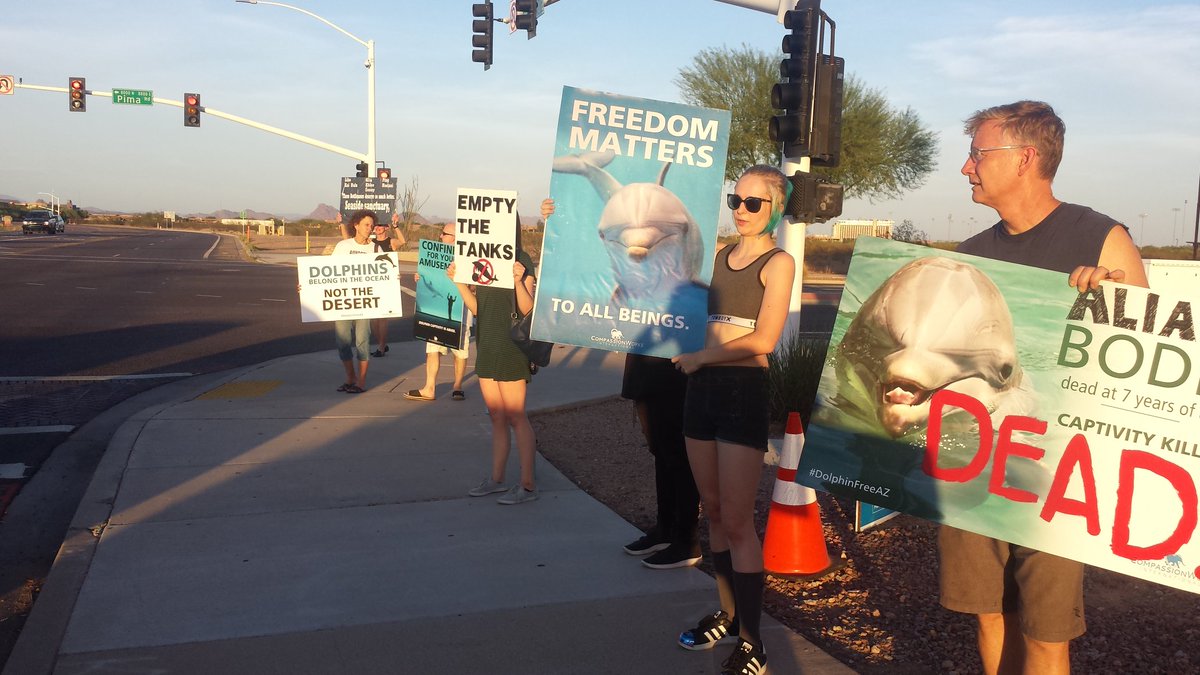 the_real_Ms_M's tweet photo. Nice little turn out for @DolphinFreeAZ protest tonight #RIPAlia #RIPBodie #CaptivityKills #dontbuyaticket #DontGoToDolphinarisAZ #DontGoToMarineParks https://t.co/jveuD8eSlS