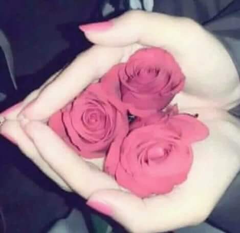 Md.Rony (@mdrony47415469) on Twitter photo 