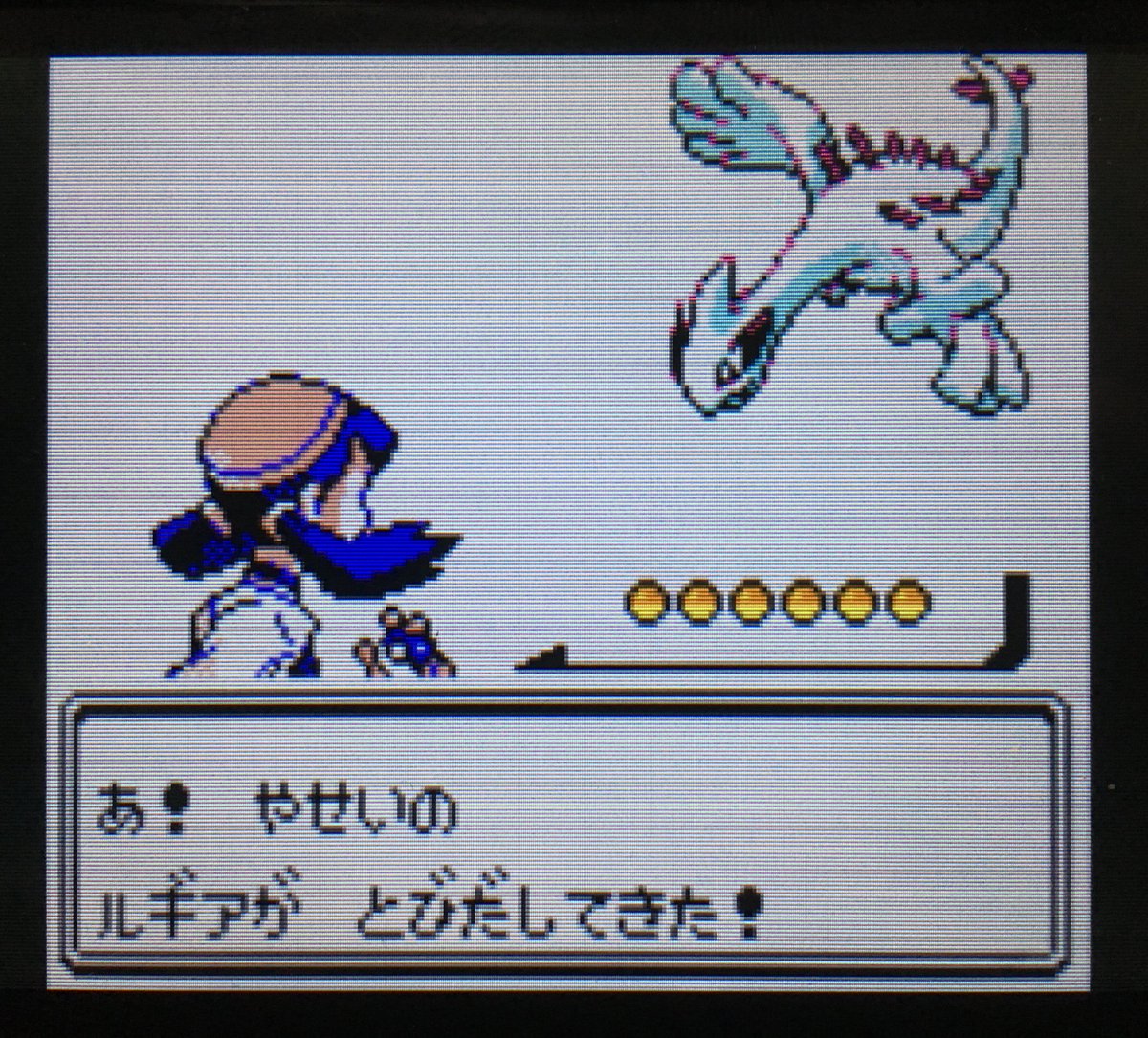 黒霧 色ルギア来たーー ポケモンクリスタルvc 本読みながら触ってたら3時間くらいで光って吃驚した T Co Povfwwwlfe Twitter