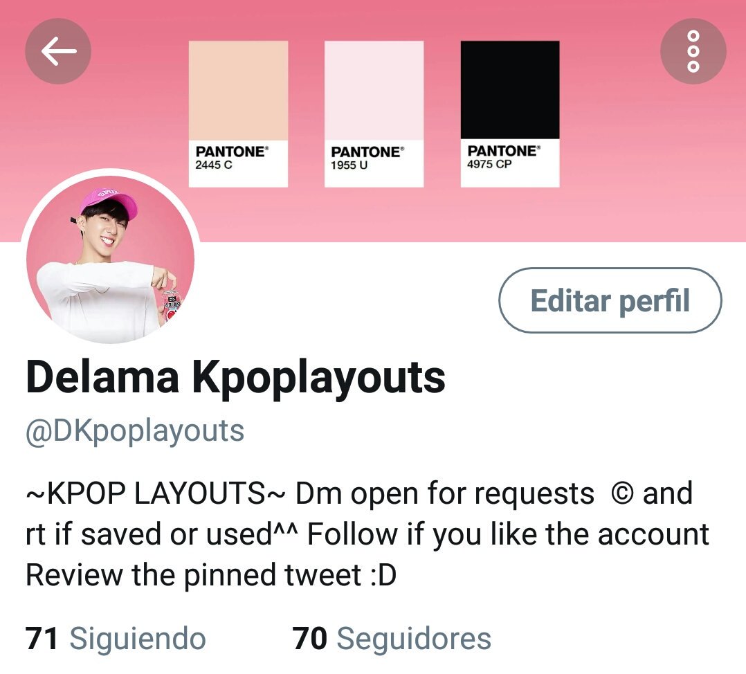DKpoplayouts's tweet photo. #delamakpoplayouts #StrayKids #LEEKNOW #hyunjin #ChangBin Kpop Layout Stray Kids Matching 6 icons pink pantone LeeKnow Hyunjin Changbin 
© and rt if saved or used^^ [1/2] https://t.co/sZcKhcHnBp