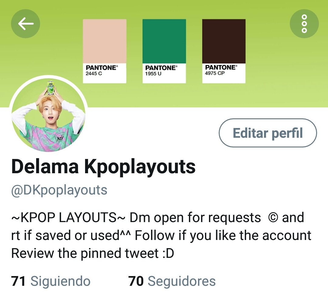 DKpoplayouts's tweet photo. #delamakpoplayouts #StrayKids #WOOJIN #han #in Kpop Layout Stray Kids Matching 6 icons green pantone Woojin Han I.N 
© and rt if saved or used^^ [1/2] https://t.co/ITfz66r8ON