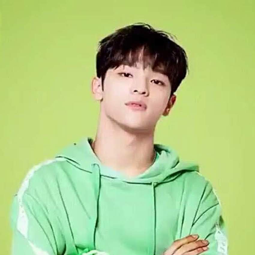 DKpoplayouts's tweet photo. #delamakpoplayouts #StrayKids #WOOJIN #han #in Kpop Layout Stray Kids Matching 6 icons green pantone Woojin Han I.N 
© and rt if saved or used^^ [2/2] https://t.co/vTI5GAoKFM