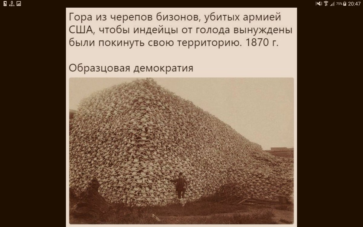 истребление это