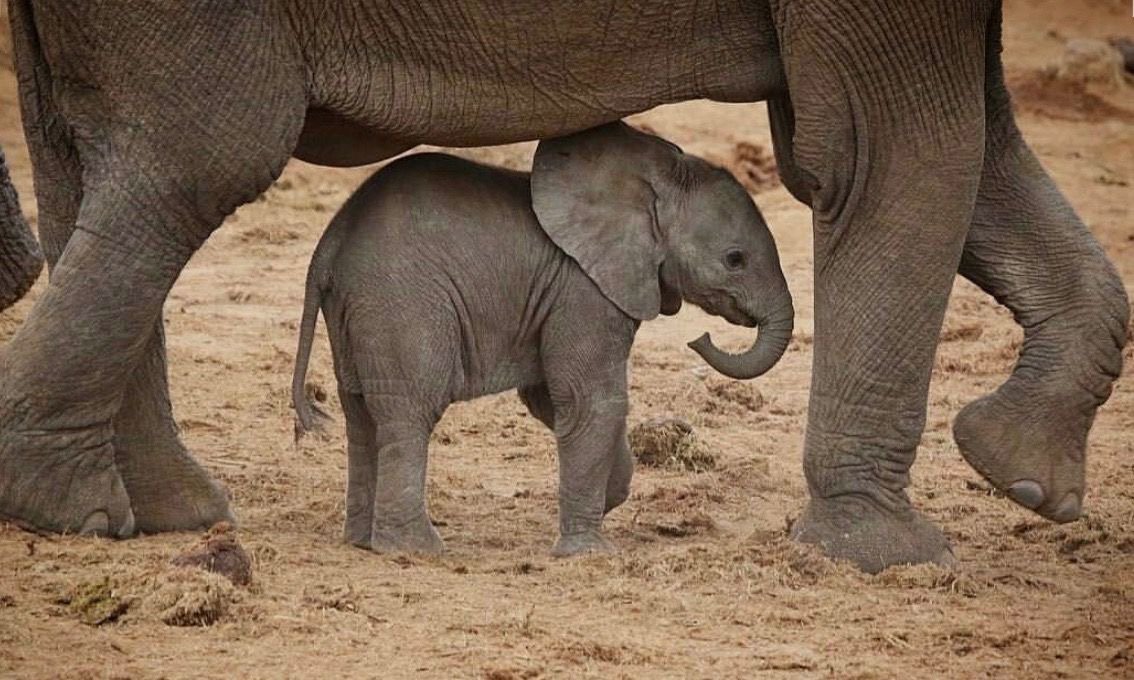 ramblingsloa's tweet image. To make a difference in someone’s life
You don’t have to be brilliant, rich, beautiful or perfect.
You just have to care.

Mandy Hale