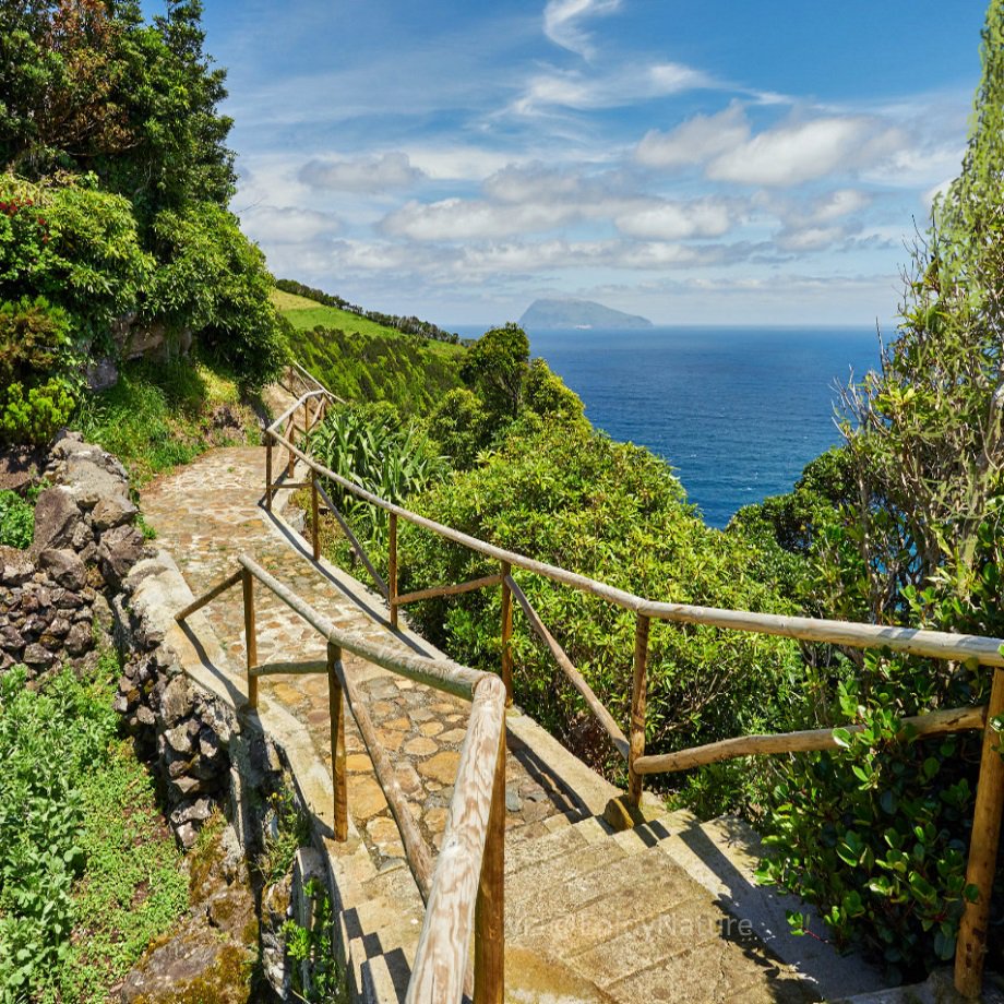 nkosi_khulu's tweet photo. The land of the amazing footballer @CristianoRonaldo #CR7. If like #Outdoors then this Beautiful Ocean and Mountains at Flores in the Azores Islands #Portugal is for you
#TravelBloggers
#Travel
#MusaTravelBlogs
#TravelBlogs https://t.co/0fZiBWv3sx