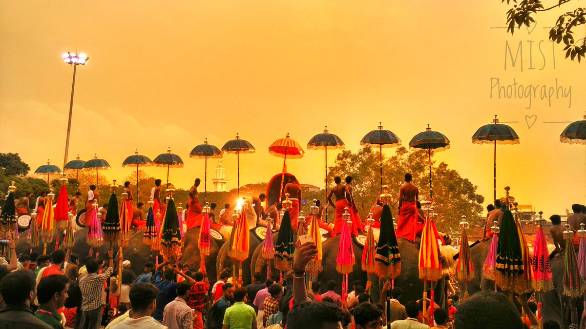 iamrohith17's tweet photo. #photography #travel #thrissur #pooram #photography #Xiaomi #xiaomimi4 #click #elephant #thrissur #photography #photo #PhotoOfTheDay #mobilephotography https://t.co/DWA9bDwzSl