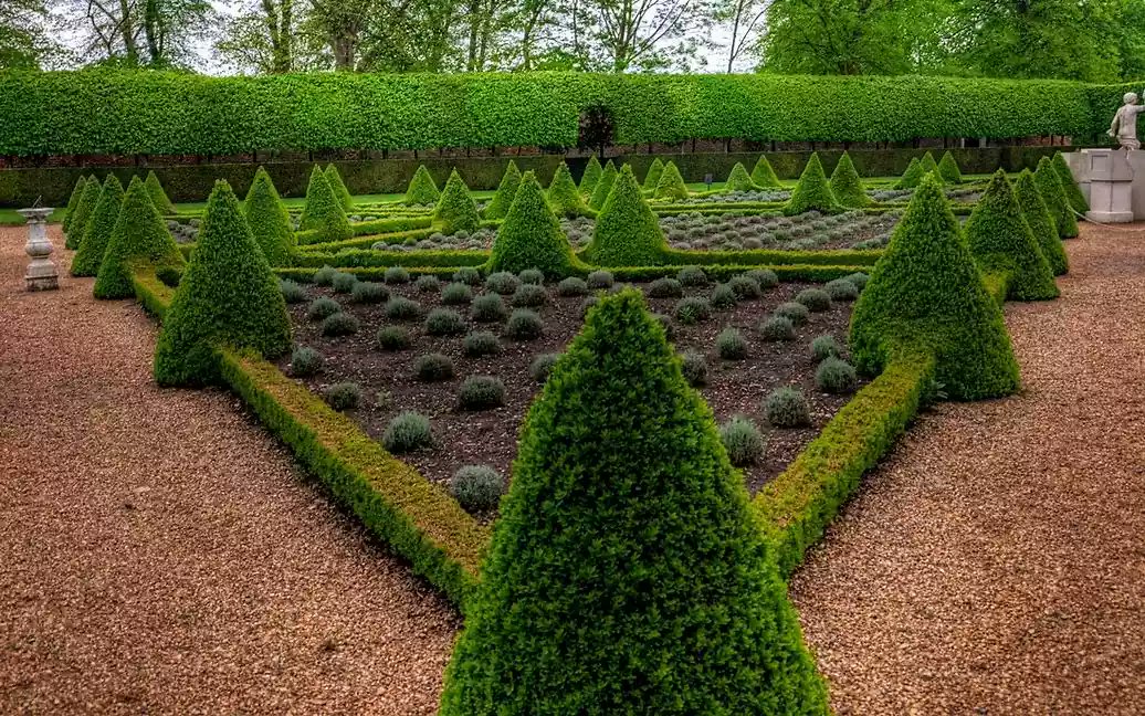 Marshall tweet media