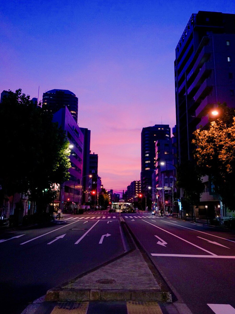 drunk_freedom's tweet photo. 新宿、よく焼けてた。 https://t.co/llLEYzqiwv