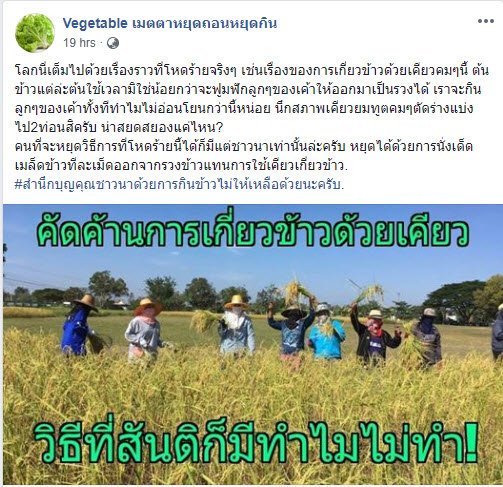 OakkyVerse's tweet photo. เพจเหี้ยไรวะเนี่ย 555555555555555555555555 https://t.co/rHlGDdTJQd