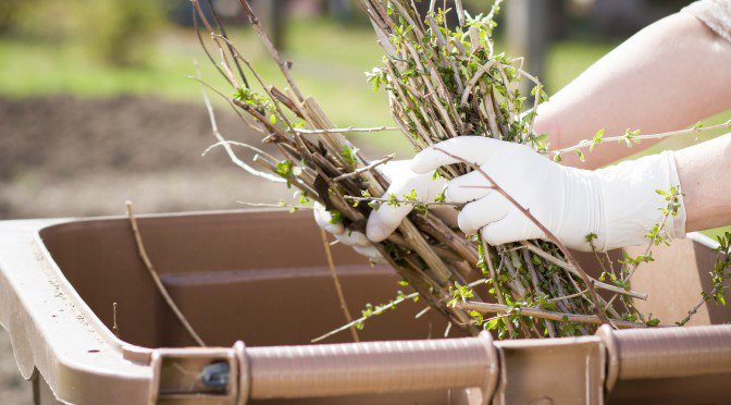 OHWMagazine's tweet photo. "How to get started, tend the growing pile, and use the finished compost."
The "Dirt" on Compost by Cynthia Coates, BSc (Environmental Science).
Read it here: https://t.co/EvFl28bkIp https://t.co/Ob1uH0MyVS
