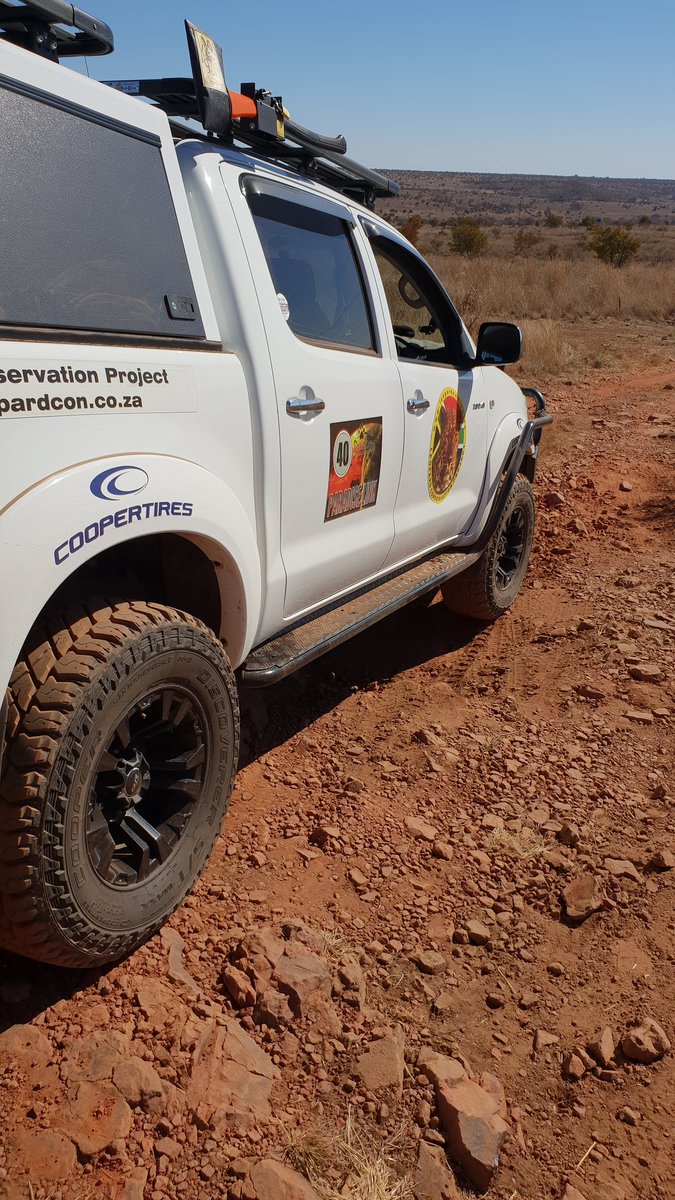 LeopardCon's tweet image. 