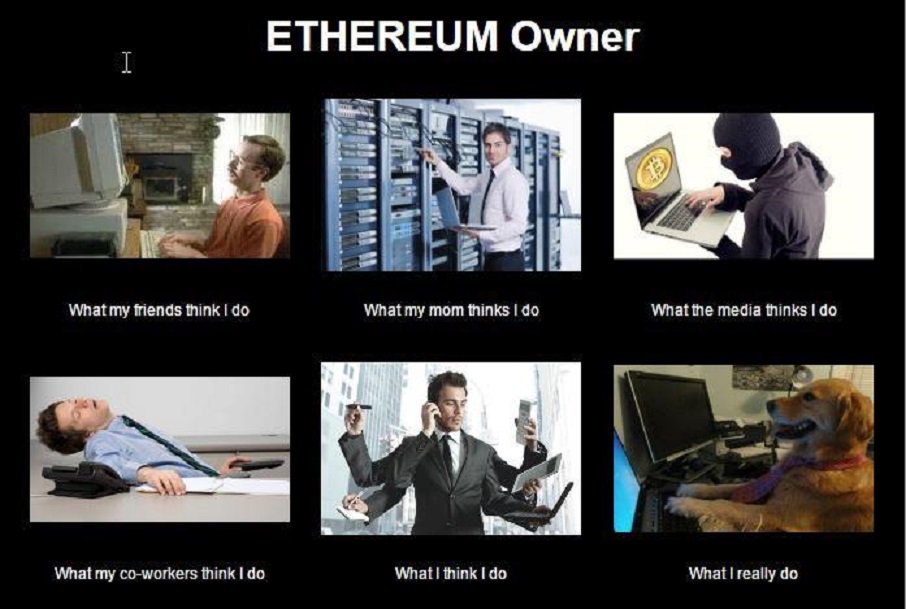 NewsCryptoCoins's tweet photo. #Cryptocurrency #BitcoinMeme #Bitcoin #altcoin https://t.co/UPUJ8UFShU