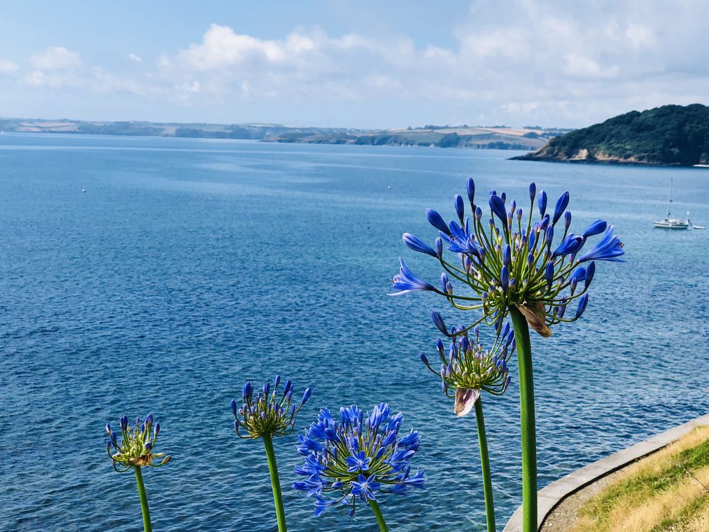 Falmouth showing off an array of colours! ☀️🌊👌
.
.
.
.
.
#GetMeToCornwall #GyllyngvaseBeach #Falmouth #waves #thisprettyengland #getoutside #igerscornwall #LoveWhereYouLive  #ilovecornwall #lovecornwall #lovecornwalluk #sea #ocean #coast #beach #beachlife #nature #skyporn