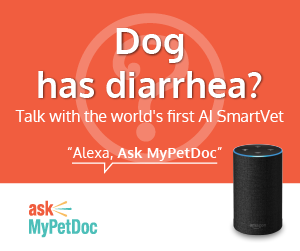 MyPetDoc's tweet photo. @Cr8DigitalAsset @amazonecho @alexadevs Check out this new skill for your furbabies we just launched. We'd love your feedback  https://t.co/EZfTjavId0 @MyPetDoc #smarthome https://t.co/ZFp4CALSPa