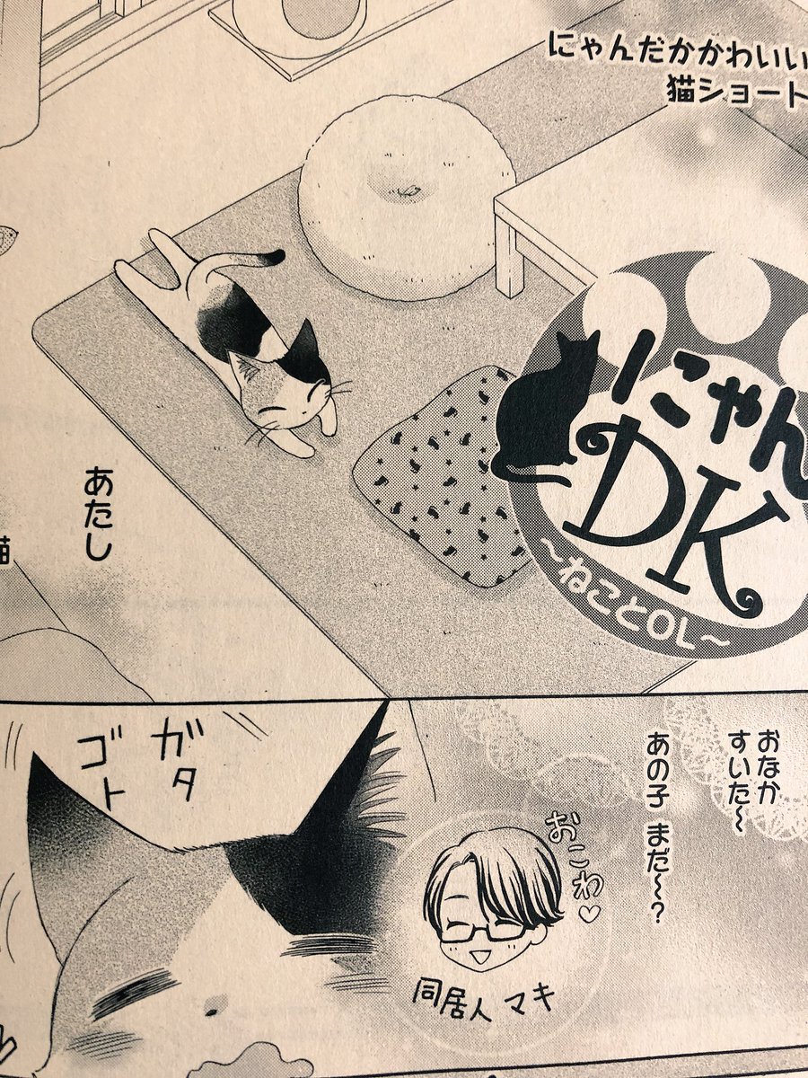 ?お知らせ?
ただ今、発売中のプチコミック増刊に猫ショート「にゃんDK」掲載させて頂いてます。突然の来訪者?におこわどうする?よろしくお願いします! 