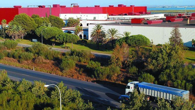 DelphiCadiz tweet media