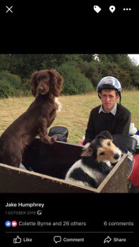 millypod1's tweet photo. 🆘#STOLEN #ScanMe Cocker Spaniel Female
DOCKED WHITE BLAZE ON CHEST HAD A LITTER OF PUPPIES 10 WEEKS AGO 
SO TEATS STILL QUITE PROMINENT. 

#Murcott #OX5 nr #Bicester #Oxfordshire &amp; #M40 Motorway
@ThamesVP PLEASE SHARE😢

#OX2 #OX3 #OX25 #OX26 #OX27
https://t.co/sUQl5vuqoj https://t.co/cNEYYvPbPX