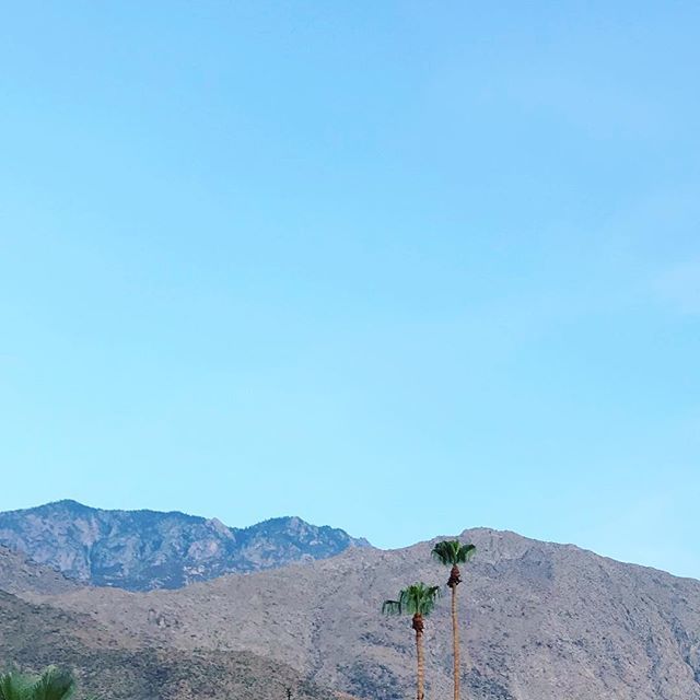 brunchpants tweet media