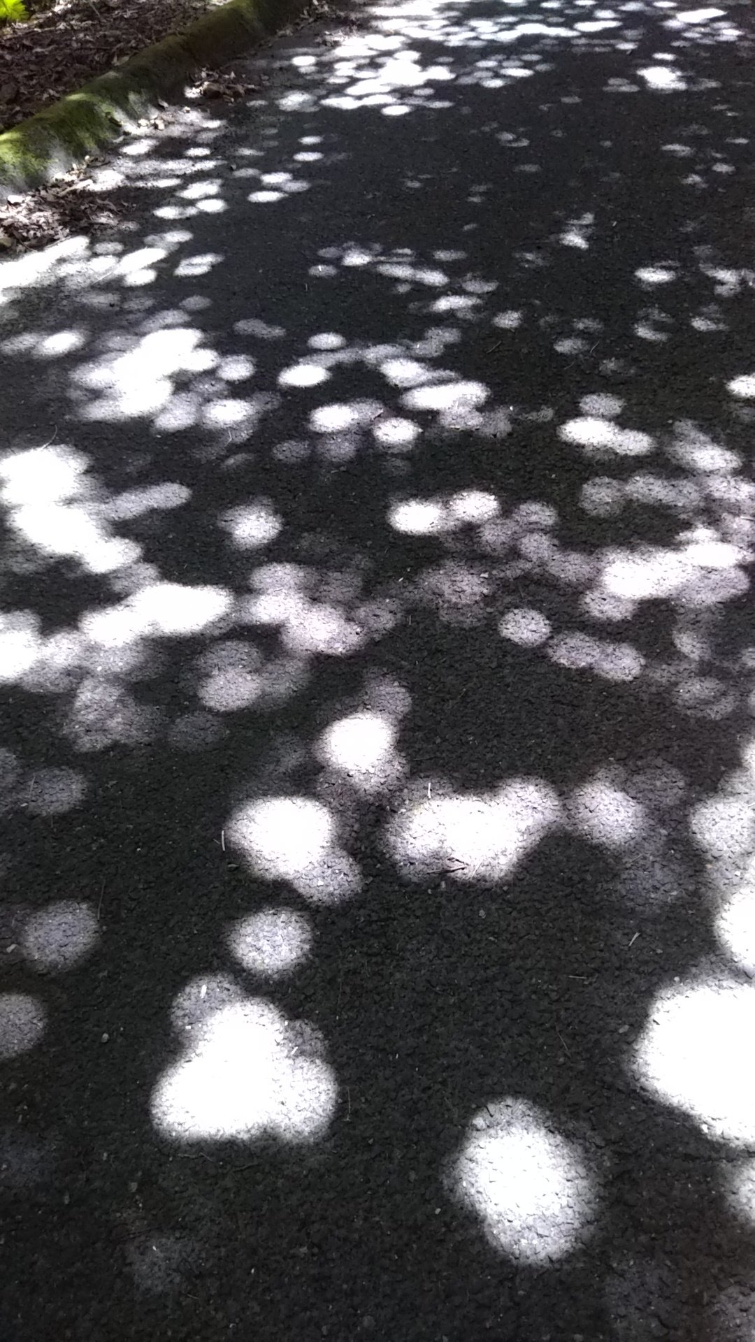 ピンホール現象 Twitter Search Twitter