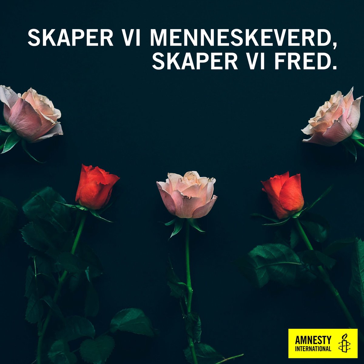 Erik Poppe (ErikPoppe) Twitter