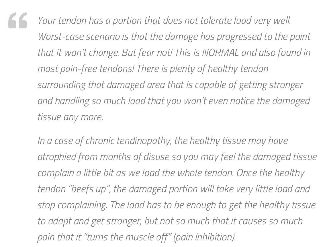Patient-friendly explanation of tendinopathy from <a href="/erikMeira/">Erik Meira🦩</a> 👍