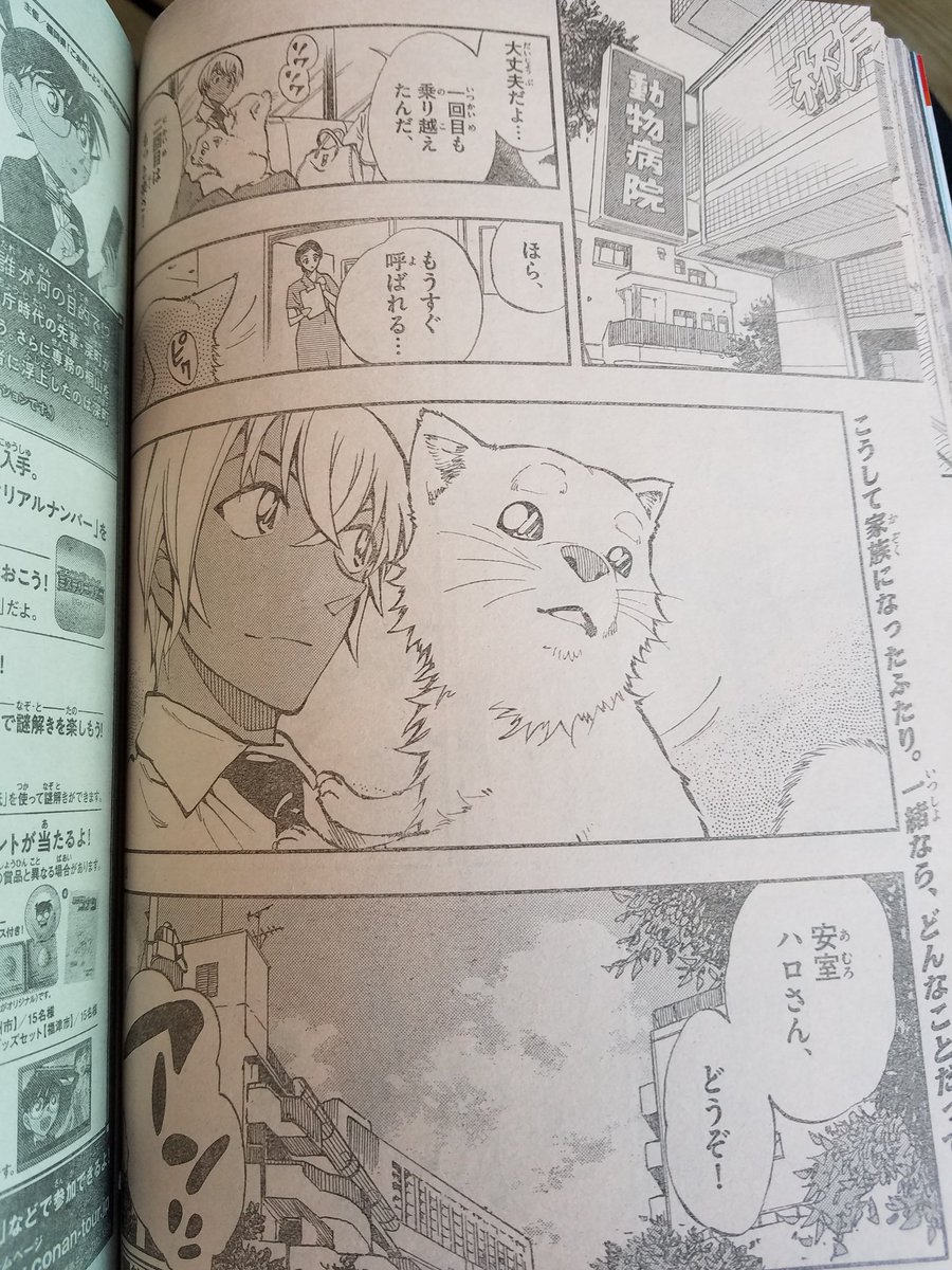 ふーる 安室ハロさぁん 家族になったふたりか ついでに自分も家族に入れてくれ ゼロの日常 ゼロティ 安室透 降谷零 バーボン コナン好きさんと繋がりたい サンデー ふーる 安室ハロさぁん 家族になったふたりか ついでに自分も家族に入れてくれ ゼロの日常 ゼロティ 安室透 降谷零 バーボン コナン好きさんと繋がりたい サンデー