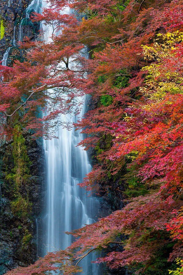 <a href="/taxi_ede/">VIEdeTAXI</a> <a href="/RoshanDua/">Roshan Dua @9953331066</a> <a href="/tarekahmady22/">ROCKET</a> @riffy0077 <a href="/thanosna2014/">🌐 Θανος 🌅</a> <a href="/Rajeshk12248958/">🌹 🙏 जय हिंद 🚩🚩👍👥💐</a> <a href="/InderMendiratta/">🪴My Green Park🪴</a> @7b7f43e61443497 <a href="/spencergram/">~Sunny Side Up~🌞</a> <a href="/QuattroMori61/">Quattromori61</a> <a href="/Francesco19515/">Francesco Volpicella</a> @ratnaweeravipu2 @Russiellvieira <a href="/WalterHomeroPe4/">Walter Homero Perez</a> <a href="/wlsfargo/">spiro raftopoulos</a> <a href="/asa57504567891/">hassan metebalboody</a> <a href="/polom101/">Magnifico</a> <a href="/BermaoAbder/">Abder.BERMA</a> <a href="/ali_alshehhi75M/">علي الشحي</a> <a href="/majedali1351/">ماجد العبدالله</a> <a href="/henrirouen/">Henri Rousseau</a> <a href="/lepetitportcord/">le petit port cordon</a> <a href="/ee1e63db522f42b/">Mehmet KARAPINAR</a> <a href="/Prime758523541/">sarjel Khan</a> <a href="/Mehmed56019723/">Mehmed Nedzo</a> @janbaaz_mehar <a href="/margekessel/">ROGER KESSEL</a> <a href="/Object_YV/">Object YV Photos</a> Good morning beautiful Anny 🙋‍♂️