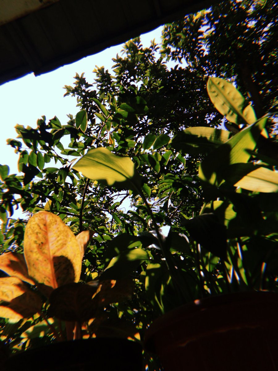 karna dulu kita tertawa bersama dan duduk berbincang untuk waktu yang menyenangkan aku akan menyimpan untuk masa akan datang . Namun karna saat ini apa yang terucap beda dengan kenyataannya sesungguhnya itu sedikit aneh , bagaimana aku bisa diam duduk bersama lagi ?