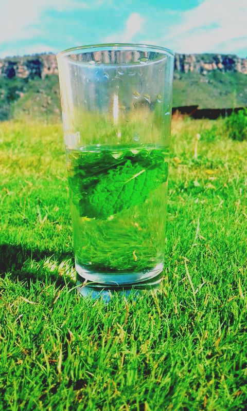 reemothibi23's tweet image. Good morning to all the #CameraLovers