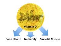 drnickykeay's tweet photo. BASEM: Synergistic Action of Steroid Hormones #vitaminD #bone #musle #immunity #athlete #health #perforamnce https://t.co/fxSqZUl88n https://t.co/AOBQVFpFYI
