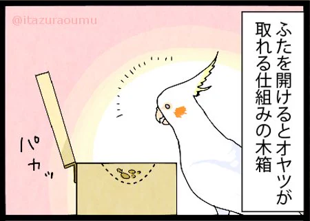 更に元を断つオウム 