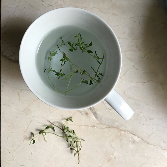QuirkJodie's tweet photo. Starting Sunday Morning with a #thymetea 🌿 
Thyme is antiviral, anti-fungal, antimicrobial, and antibiotic. There aren’t many germs that can beat that combination. Thyme has been used to kill ringworm and as a natural remedy for athletes foot among o… https://t.co/oTZ5RqHhoQ https://t.co/VqOmg720lM