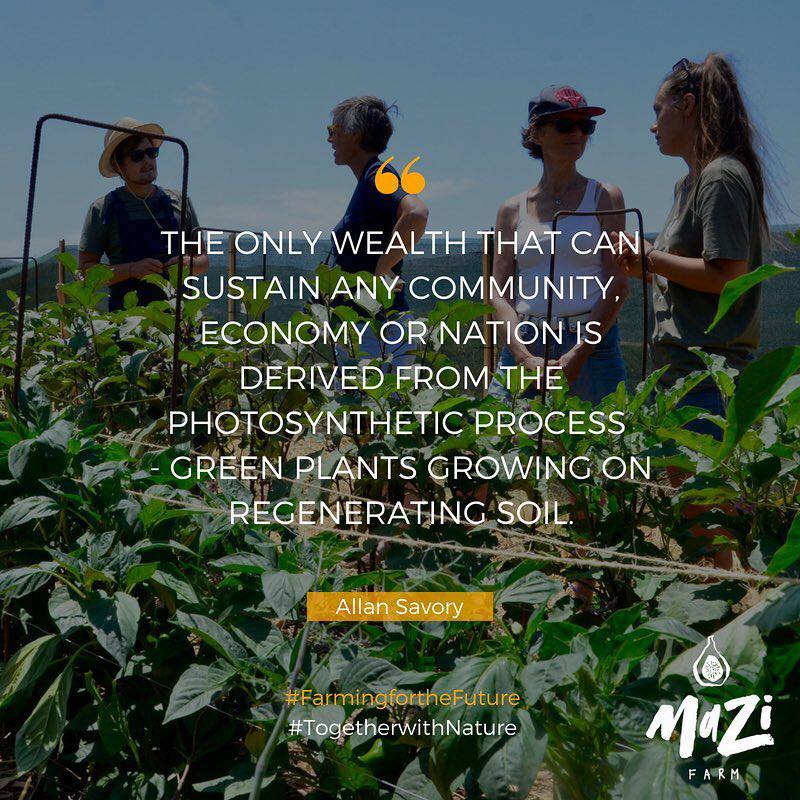 mazifarm's tweet photo. High inspiration coming from @AllanRSavory  @SavoryInstitute. What does wealth look like to you? #agroecology #regenerativeagriculture #agroforestry https://t.co/9KsvducIR7
