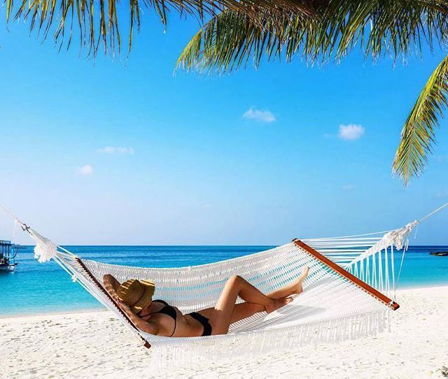 constancehotels's tweet photo. Happy #HammockDay to you all from our team at #ConstanceHalaveli! Do you have a Constance hammock pic? Share with us 🙂 #NatureLovers #Sunshine #TurquoiseLagoon #Maldives
📷 https://t.co/bljAwFNcFF