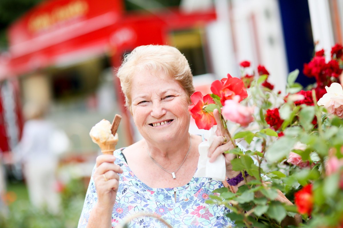 belfastcc's tweet photo. It's the last day of Rose Week, but there's still time to tell us who you'd give a rose to. Share your nominations using #RoseWeek18, along with your best pics of the park in full bloom - https://t.co/xaoH8mHTUw https://t.co/uP35ipf0ah