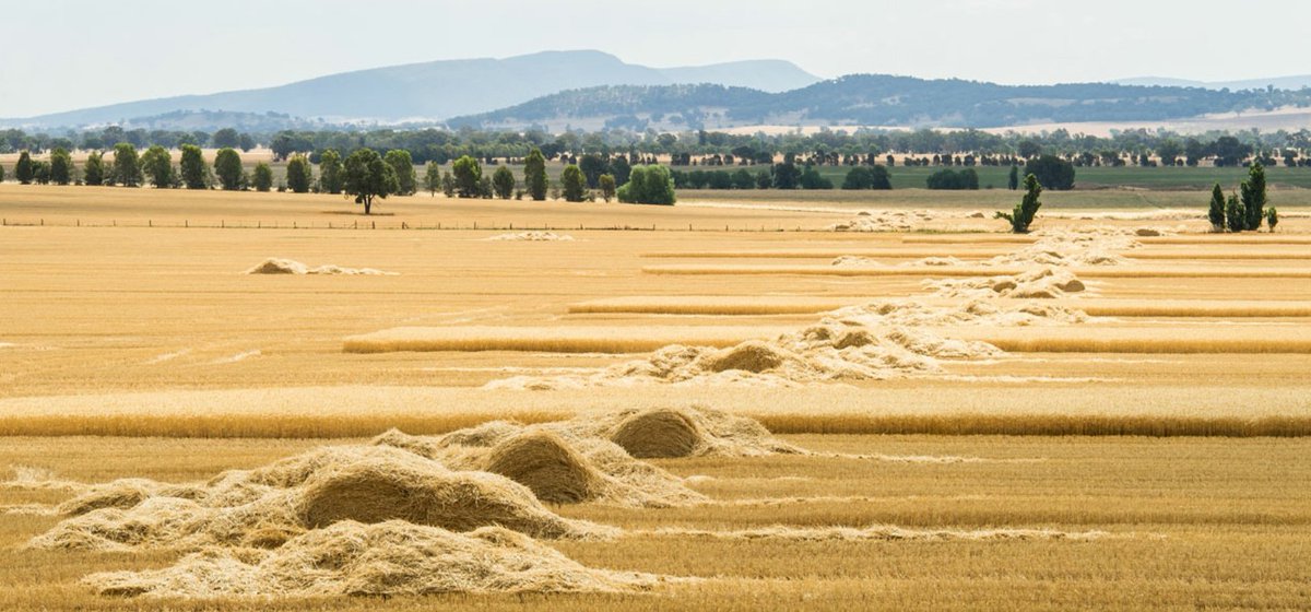Rob Dempster tweet media