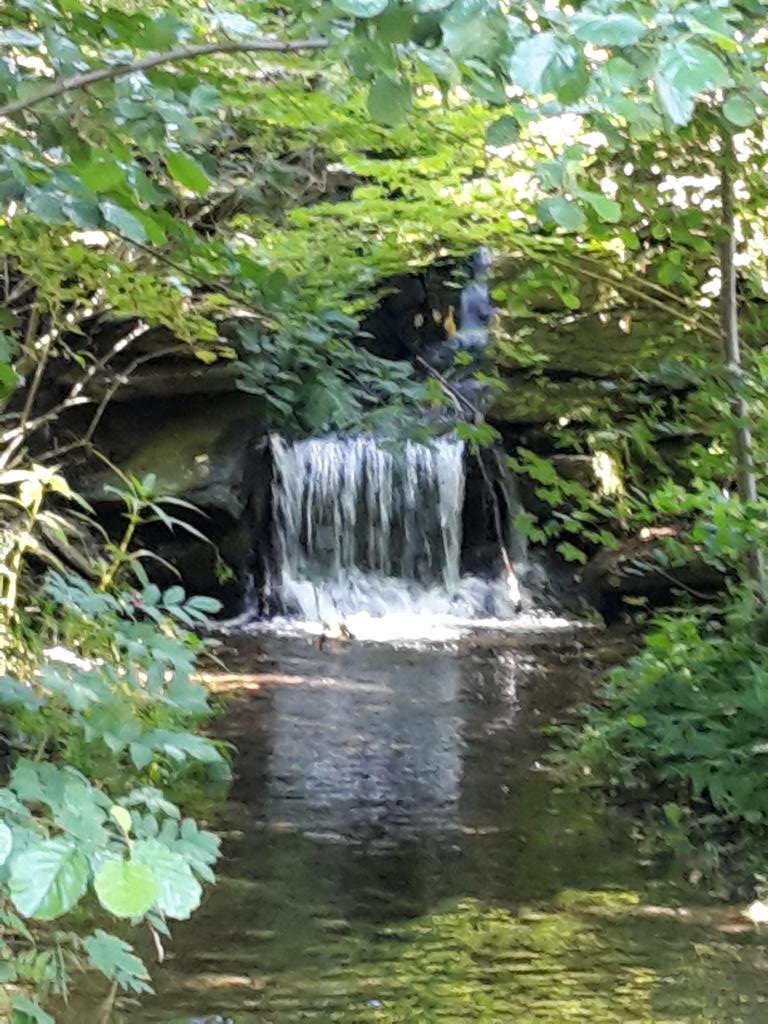 <a href="/taxi_ede/">VIEdeTAXI</a> <a href="/RoshanDua/">Roshan Dua @9953331066</a> <a href="/tarekahmady22/">ROCKET</a> @riffy0077 <a href="/thanosna2014/">🌐 Θανος 🌅</a> <a href="/Rajeshk12248958/">🌹 🙏 जय हिंद 🚩🚩👍👥💐</a> <a href="/InderMendiratta/">🪴My Green Park🪴</a> @7b7f43e61443497 <a href="/spencergram/">~Sunny Side Up~🌞</a> <a href="/QuattroMori61/">Quattromori61</a> <a href="/Francesco19515/">Francesco Volpicella</a> @ratnaweeravipu2 @Russiellvieira <a href="/WalterHomeroPe4/">Walter Homero Perez</a> <a href="/wlsfargo/">spiro raftopoulos</a> <a href="/asa57504567891/">hassan metebalboody</a> <a href="/polom101/">Magnifico</a> <a href="/BermaoAbder/">Abder.BERMA</a> <a href="/ali_alshehhi75M/">علي الشحي</a> <a href="/majedali1351/">ماجد العبدالله</a> <a href="/henrirouen/">Henri Rousseau</a> <a href="/lepetitportcord/">le petit port cordon</a> <a href="/ee1e63db522f42b/">Mehmet KARAPINAR</a> <a href="/Prime758523541/">sarjel Khan</a> @janbaaz_mehar <a href="/margekessel/">ROGER KESSEL</a> <a href="/Object_YV/">Object YV Photos</a> Good morning happy sunday Lady Anny too you and all friends