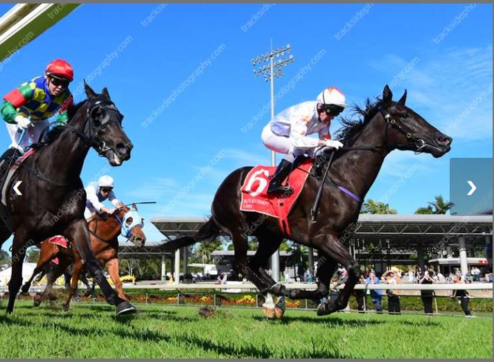 PhoenixThoroug1's tweet photo. The last 3 days have been fabulous -- winners in the USA, Australia & France. This is what Phoenix is all about! #PhoenixRising #LyricalLady #MissQuaintly #SignoraCabello #FillyPower https://t.co/w9dLFSRYE5