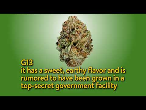 TokenBudz420's tweet photo. Best Weed Of 2017 And the Strongest Weed Strains - https://t.co/Ih62gpWvLr #420 #hightimes #medicalmarijuana  #stoner #imhigh https://t.co/M9eOIBmfFm