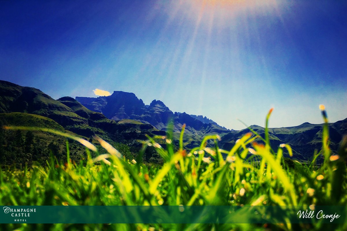 champagnecastle's tweet photo. We love this photo by Will Cronje. The rays from the sun, the grass, the shades of green, and of course, the mountains #sensofplace #drakensberg #hotel #holiday https://t.co/5B8ezcnBDu