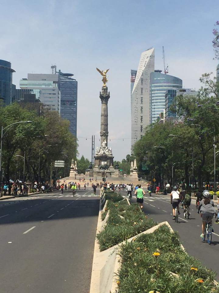 HINmexdali's tweet photo. En tu visita a la #CDMX actívate al aire libre y conoce las diversas actividades. #HolidayInn #Mexico #Dali #Aerouerto #FelizDomingo https://t.co/ijzQTP8vs2